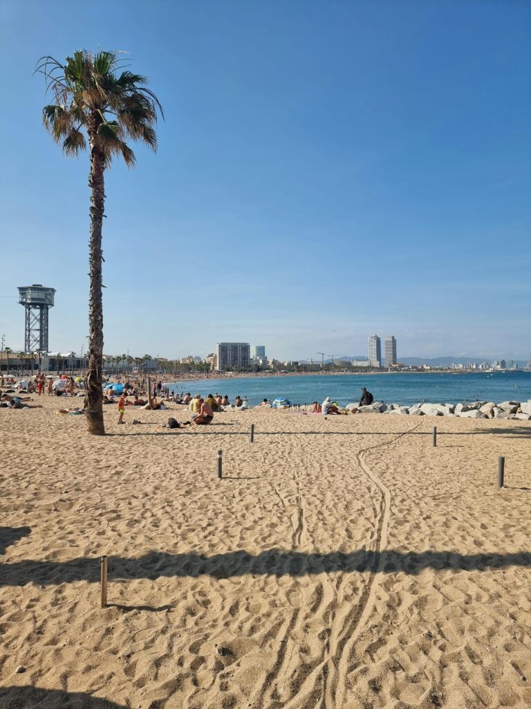 strand 3
